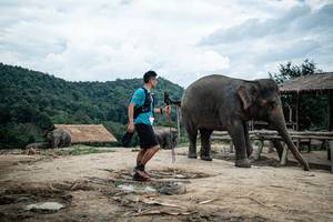 BIB: 
                            <button type="button" onclick="openModal(22424342)" class="btn btn-primary btn-sm float-right btn-popup" data-toggle="modal" data-target=".modal-high-quality">
                        <i class="fas fa-shopping-cart"></i> Add to Cart
                    </button>
                                            <button type="button" onclick="isThisMe(22424342, true)" class="btn btn-success btn-sm float-right btn-popup btn-isme hidden" data-toggle="tooltip" data-placement="bottom" title="นี่คือรูปของคุณใช่ไหม คลิกที่นี่เพื่อเอาเข้าอัลบั้ม">
                        <i class="fas fa-plus"></i> Add to album
                    </button>
                    <button type="button" onclick="isThisMe(22424342, false)" class="btn btn-warning btn-sm float-right btn-popup btn-isnotme hidden">
                        <i class="fas fa-ban"></i> Remove from album
                    </button>